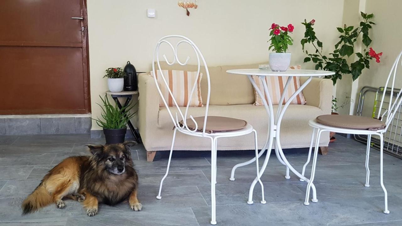 Fyllou Apartment Asprovalta Zewnętrze zdjęcie